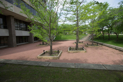 Founders Library sunken garden