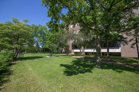 Founders lawn (west side)